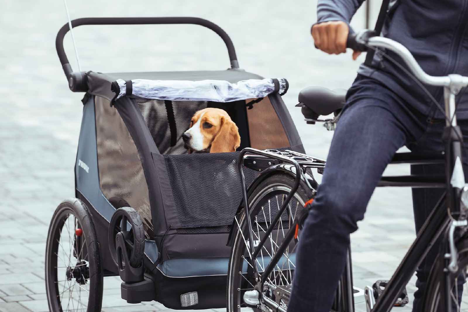 Thule Remorque Chariot Courier