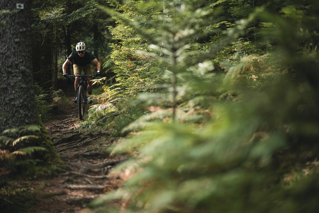 Votre magasin de vélos<bR>en ligne et au Jura