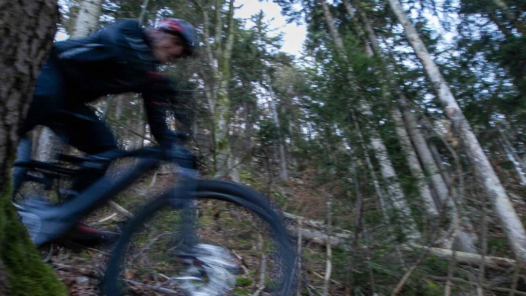 VTT forêt suisse
