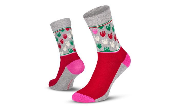 Le Patron Chaussettes Grand Tours Rosa