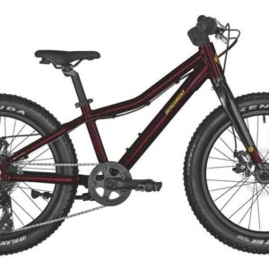 BERGAMONT Bergamonster 20 plus fille – bordeau/jaune