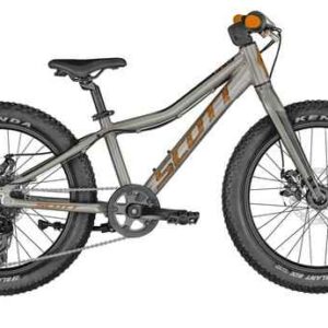 SCOTT Roxter 20 silver