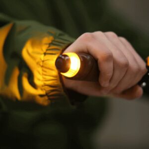 WINGLight Eclairage clignotant de guidon