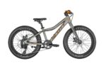 SCOTT Roxter 20 silver
