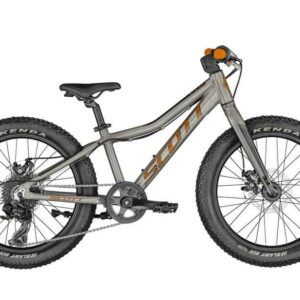 SCOTT Roxter 20 silver
