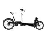 Riese & Müller Transporter 65 vario