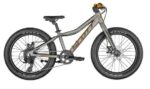 SCOTT Roxter 20 silver
