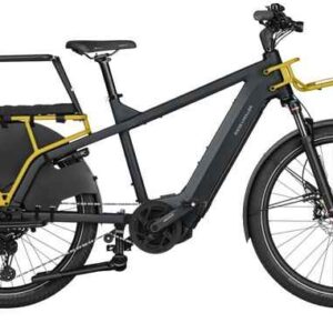 Riese & Müller Multicharger 2 GT family 625Wh (kit enfant) – utilitygrey/curry matt